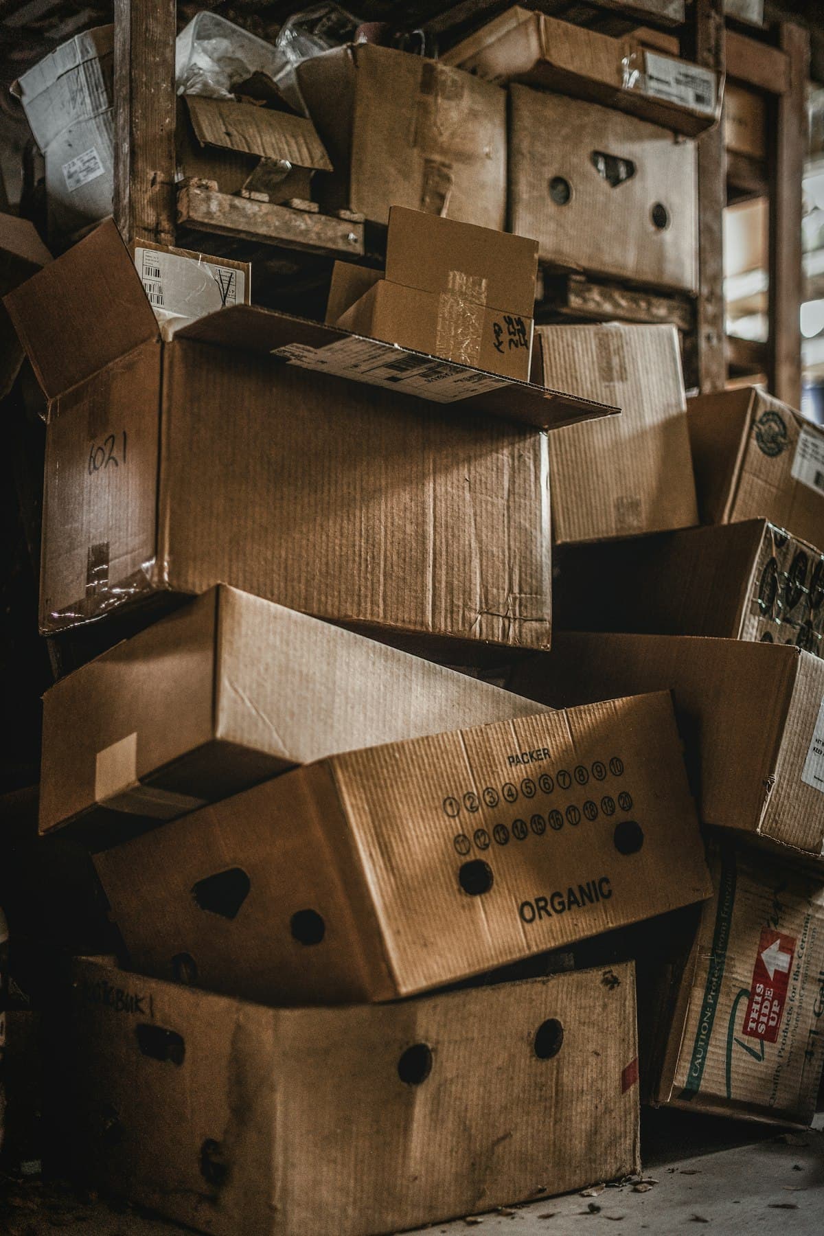 Supply Chain